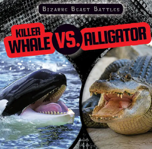 Killer Whale vs. Alligator by Natalie Humphrey
