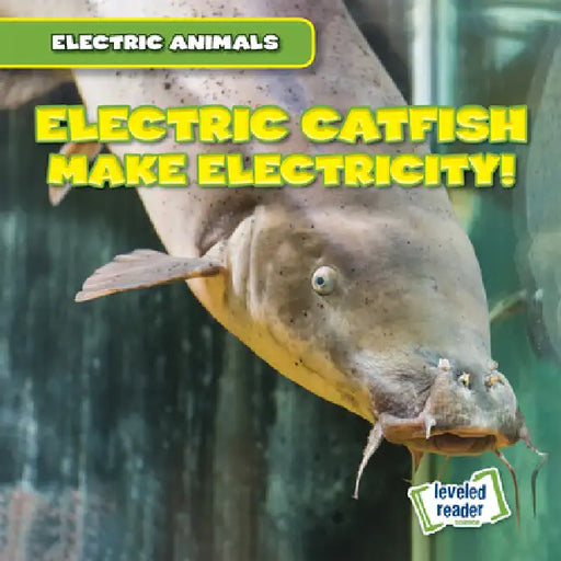 Electric Catfish Make Electricity! by Louis Mallory