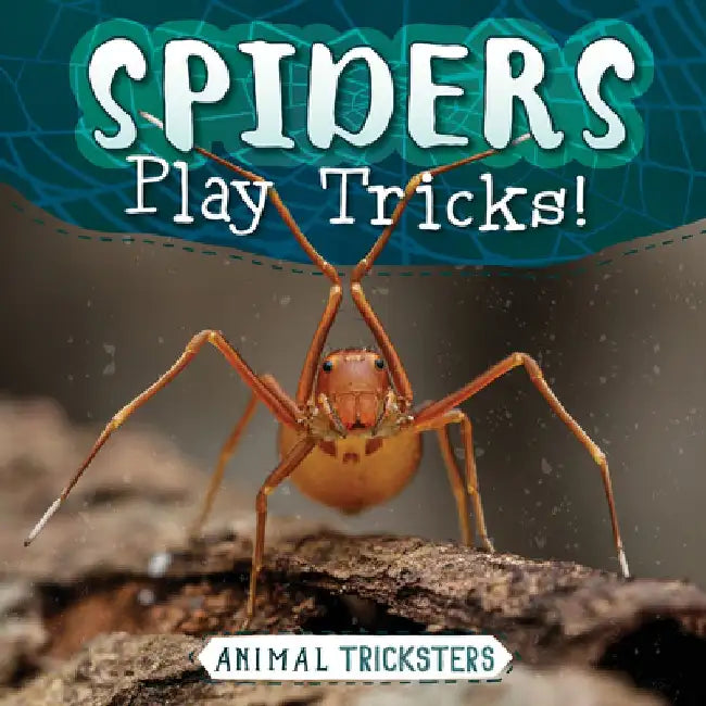 Spiders Play Tricks! by Meghan Green