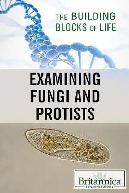 Examining Fungi and Protists by Louise Eaton, Kara Rogers