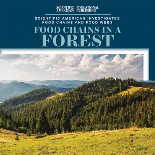 Food Chains in a Forest by Rosie Banks