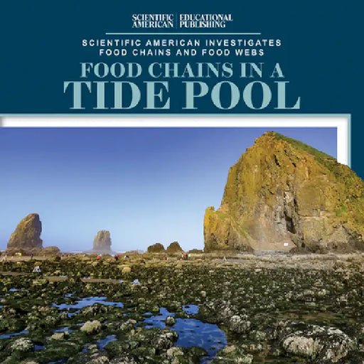 Food Chains in a Tide Pool by Rosie Banks