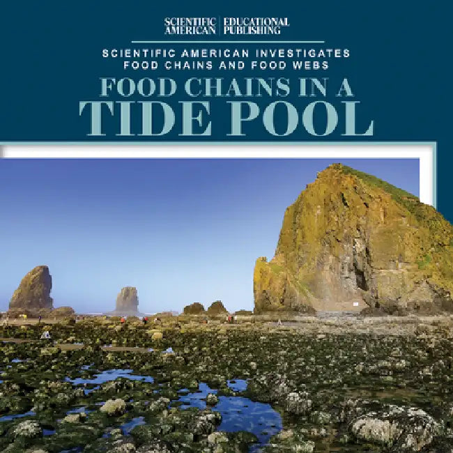 Food Chains in a Tide Pool by Rosie Banks