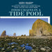 Food Chains in a Tide Pool by Rosie Banks