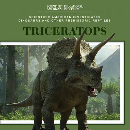 Triceratops by Mary Griffin