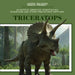Triceratops by Mary Griffin