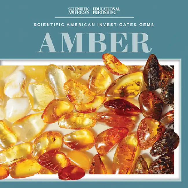 Amber by Beth Gottlieb
