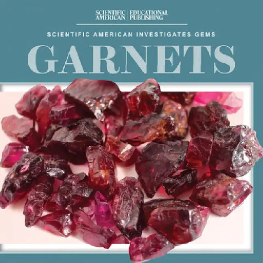 Garnets by Beth Gottlieb