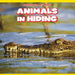 Animals in Hiding by Michael Salaka