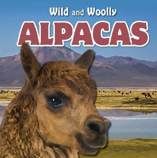 Alpacas by Alonso Garcia