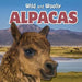 Alpacas by Alonso Garcia