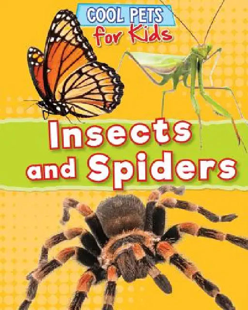 Insects and Spiders by Dawn Titmus
