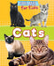 Cats by Dawn Titmus