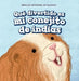 Qué Divertido Es Mi Conejito de Indias (My Guinea Pig Is Funny) by Myrna Nau
