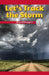 Let's Track the Storm: What Will Happen? by Dale Dixon