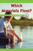 Which Materials Float?: What's the Problem? by Dale Dixon