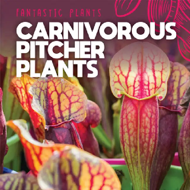 Carnivorous Pitcher Plants by Mary Griffin