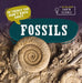 20 Things You Didn't Know about Fossils by Marie Morrison