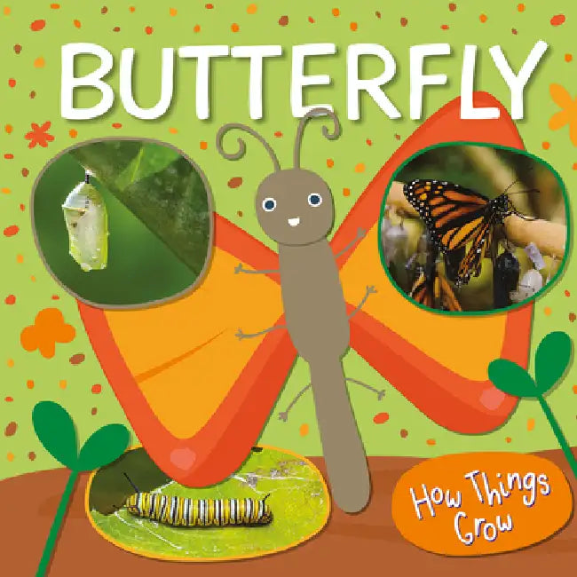 Butterfly by William Anthony