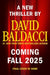Nash Falls by David Baldacci