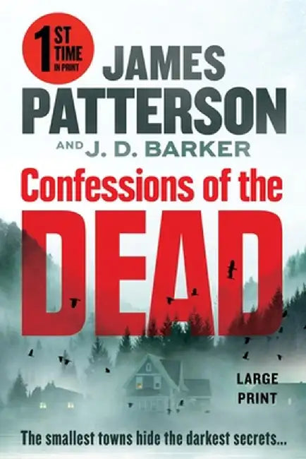 Cemetery Lake by James Patterson