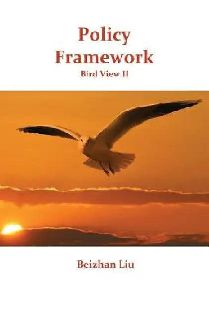 Policy Framework by Beizhan Liu