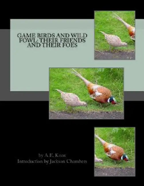 Game Birds and Wild Fowl: Their Friends and Their Foes by Jackson Chambers