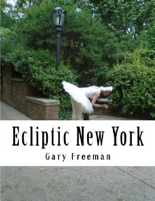 Ecliptic New York by Gary L. Freeman