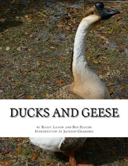 Ducks and Geese by Rob Slocum