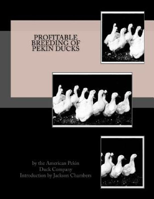 Profitable Breeding of Pekin Ducks by Jackson Chambers