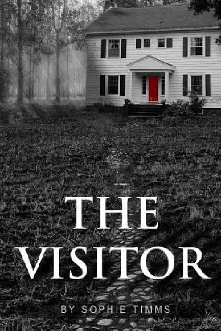 The Visitor: The suspense thriller with a twist by Lawrence Monk