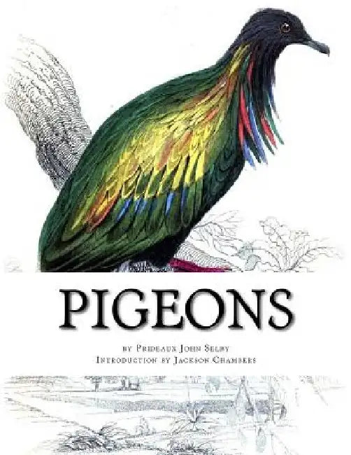 Pigeons: Pigeon Classics Book 9 by Jackson Chambers