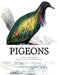Pigeons: Pigeon Classics Book 9 by Jackson Chambers