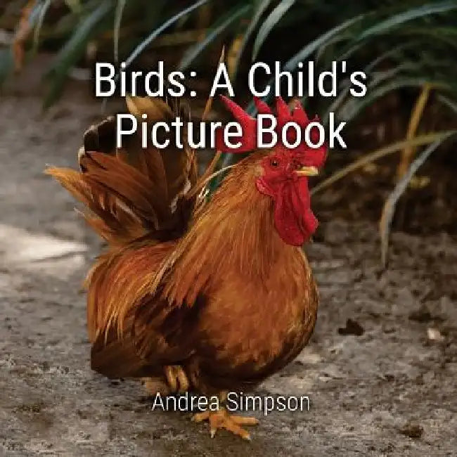 Birds: A Child's Picture Book by Andrea Simpson