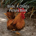 Birds: A Child's Picture Book by Andrea Simpson