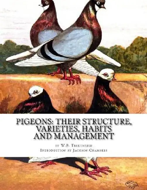 Pigeons: Their Structure, Varieties, Habits and Management: Pigeon Classics Book 12 by Jackson Chambers