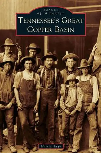 Tennessee's Great Copper Basin by Harriet Frye
