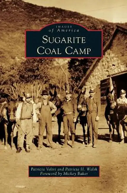Sugarite Coal Camp by Patricia Veltri