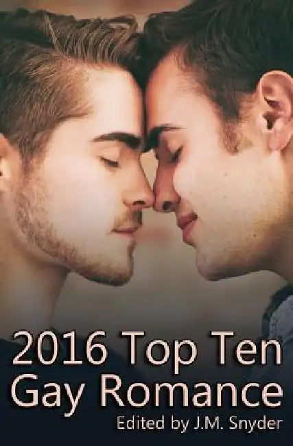 2016 Top Ten Gay Romance by Terry O'Reilly