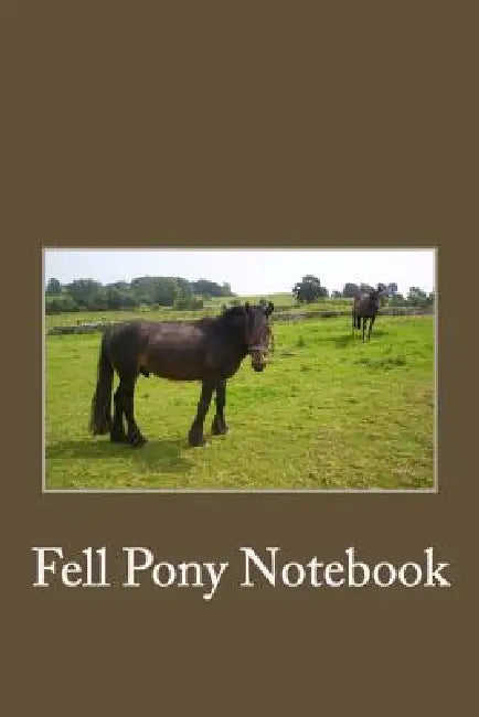 My Fell Pony by C. Cartmell