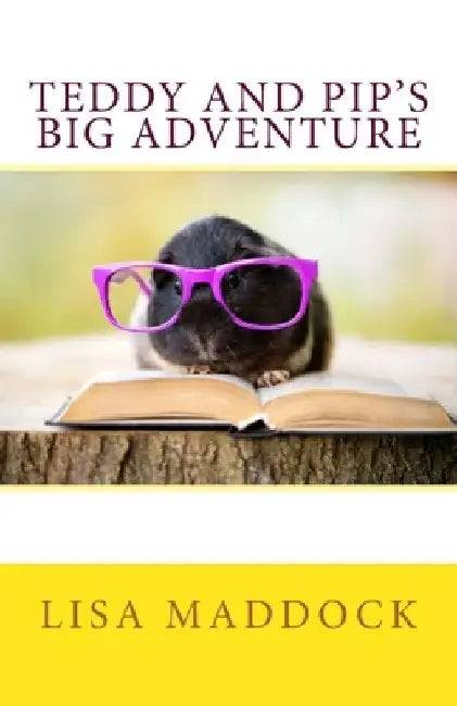 Teddy and Pip's Big Adventure: A Teddy and Pip Story by Lisa Maddock