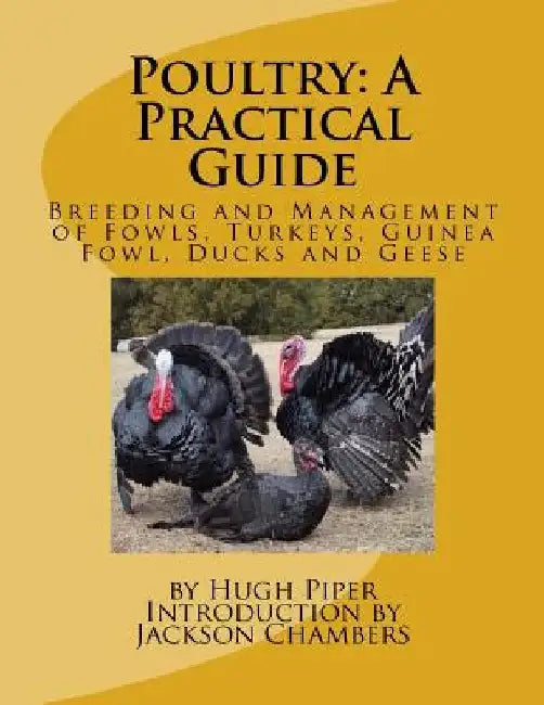 Poultry: A Practical Guide: Breeding and Management of Fowls, Turkeys, Guinea Fowl, Ducks and Geese by Jackson Chambers