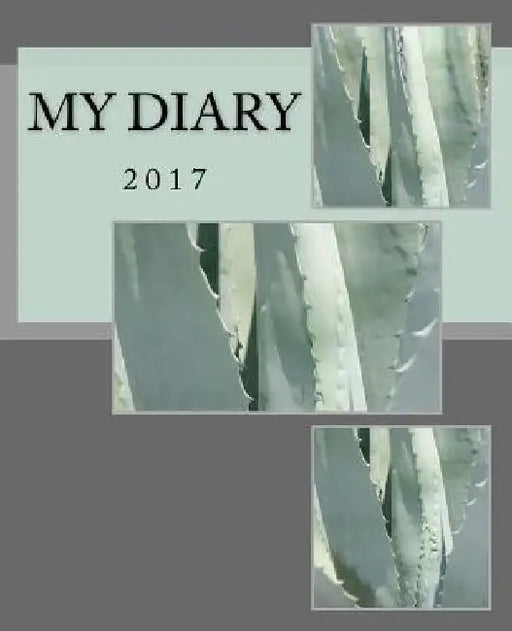 My Diary: 2017 by Julia Kossowska