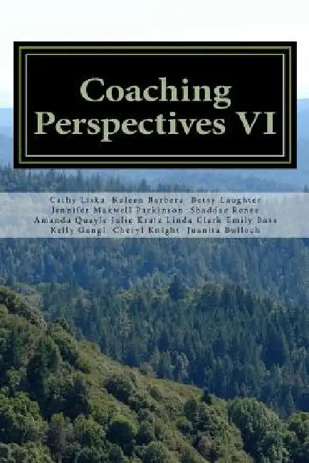 Coaching Perspectives VI by Cathy Liska