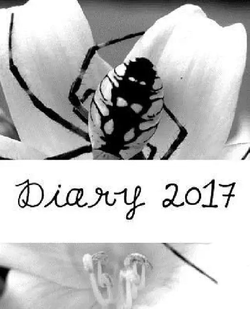 Diary 2017 by Julia Kossowska