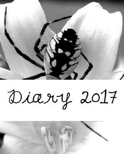 Diary 2017 by Julia Kossowska