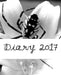 Diary 2017 by Julia Kossowska