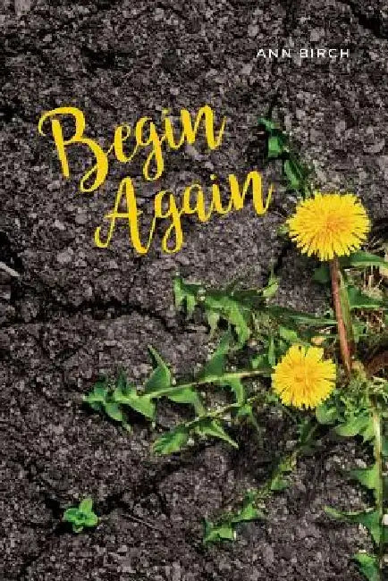 Begin Again by Ann Birch