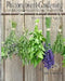 Phytonutrient Gardening - Part 3 Herbs and Spices: Understanding, Growing and Eating Phytonutrient-Rich, Antioxidant-Dense Food by Joe Urbach