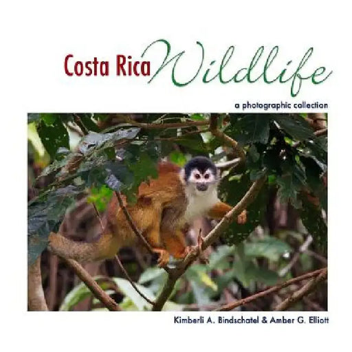 Costa Rica Wildlife: A Photographic Collection by Amber G. Elliott